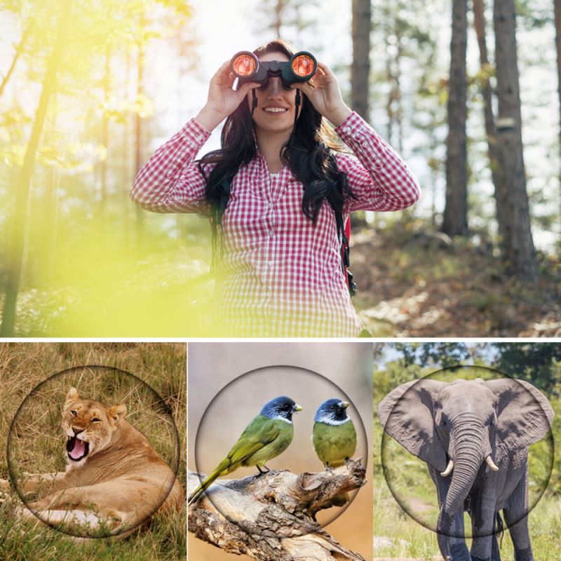 Binóculos Profissional HD 80x80 | Longo alcance & Visão Noturna HRZ1560